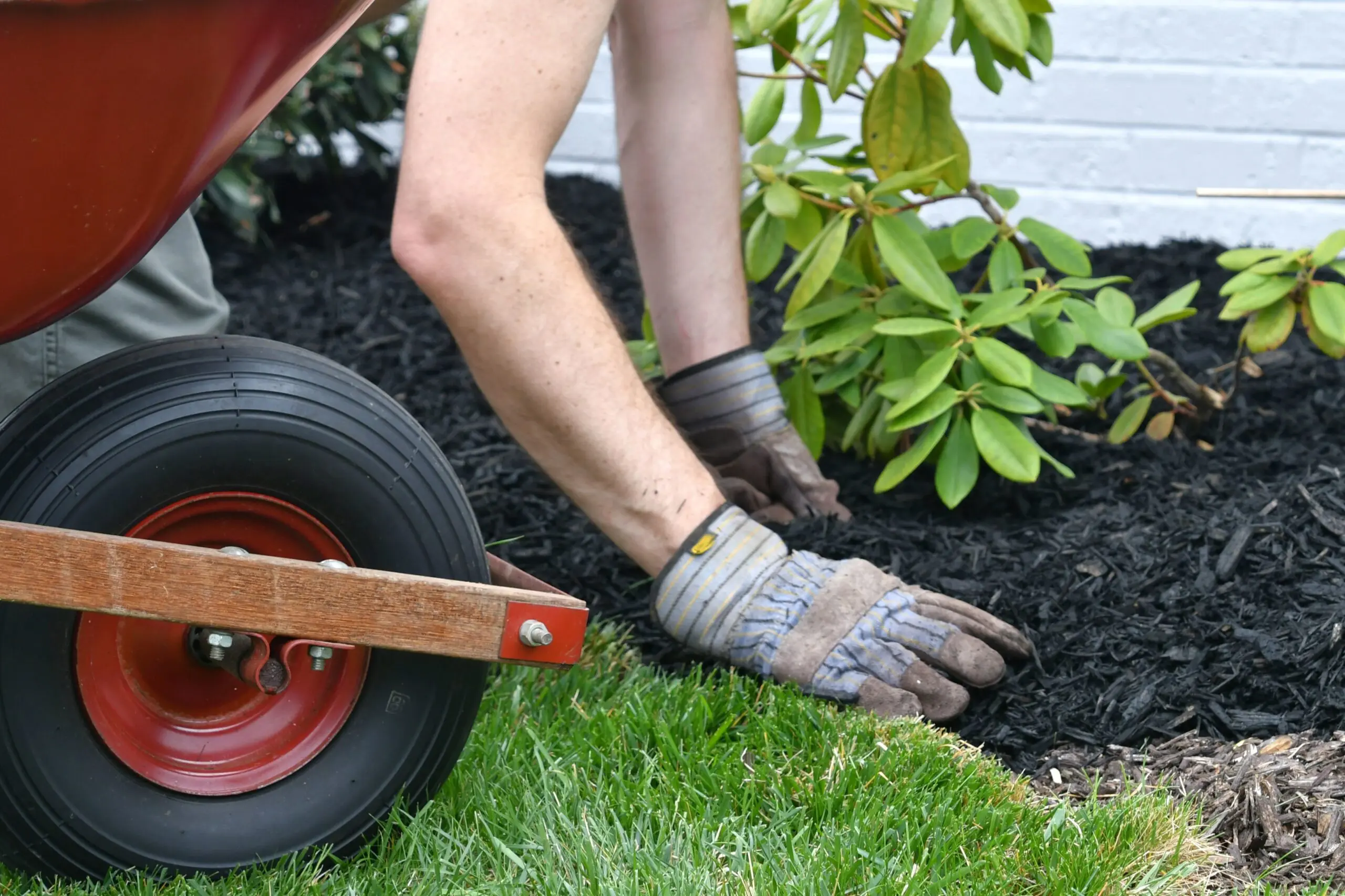 Flowe brs mulch in parrish florida